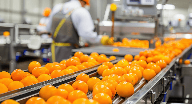 Food Processing Equipment | Brand & Demand Transformation